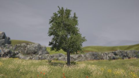 Tree Simulator 2022 스크린샷 4