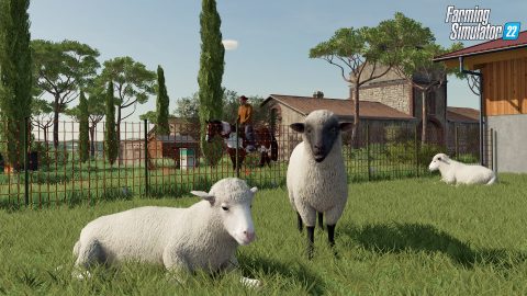 Farming Simulator 22 – zrzut ekranu 2