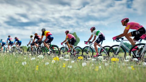 Tour de France 2024, capture d’écran 2
