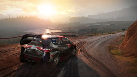 WRC 7 FIA World Rally Championship 截图 2