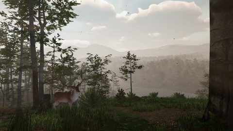 Virtual Hunter, screenshot 1