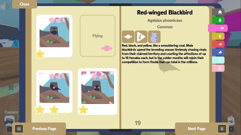 Flock Around 截图 4