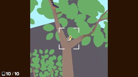 Flock Around 截图 2