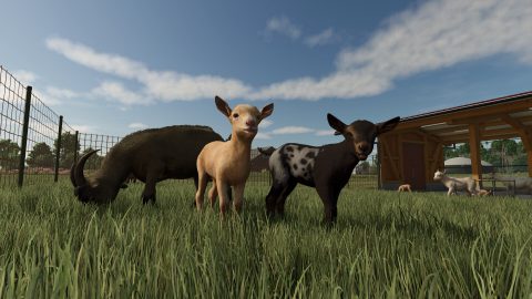 Farming Simulator 25 – zrzut ekranu 2