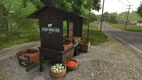 Farming Simulator 25 – zrzut ekranu 3