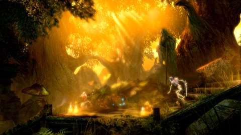 Trine Enchanted Edition, captura de tela 2