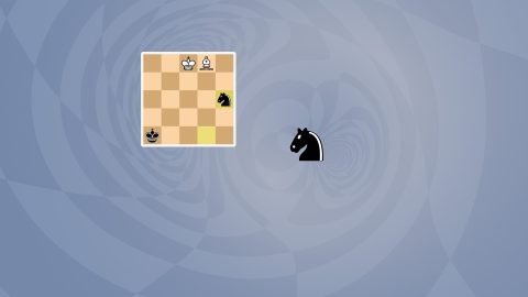 5D Chess With Multiverse Time Travel 스크린샷 3