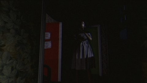 MOTHERED - A ROLE-PLAYING HORROR GAME, captura de tela 4
