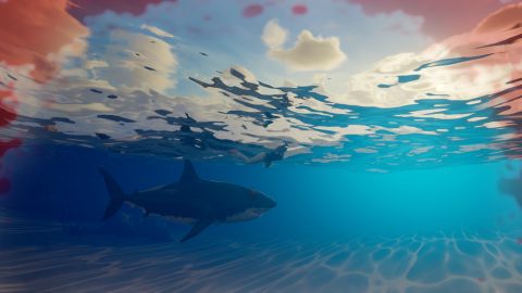 My Island Screenshot 3