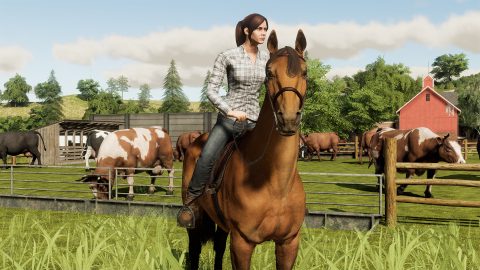 Farming Simulator 19 截图 3