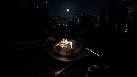 Anarchy: Wolf's law, screenshot 3