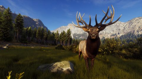 Way of the Hunter, captura de pantalla 1