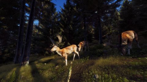 Way of the Hunter, captura de pantalla 2