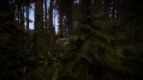 Sons Of The Forest, captura de tela 4