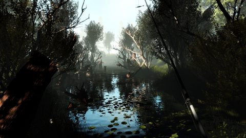 Professional Fishing, screenshot 1