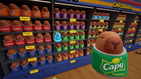 Sort The Capybaras, capture d’écran 3
