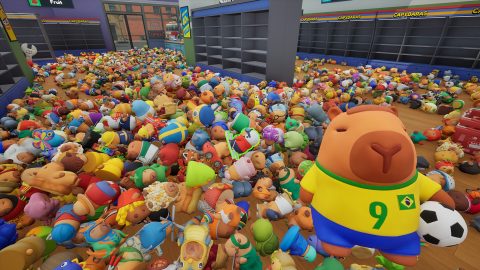 Sort The Capybaras, capture d’écran 2