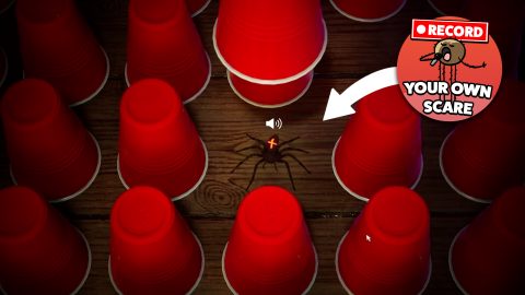 Spider Roulette screenshot 2