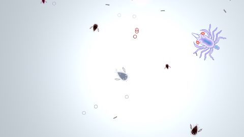 Feesh – zrzut ekranu 3
