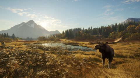 theHunter: Call of the Wild™ のスクリーンショット 1