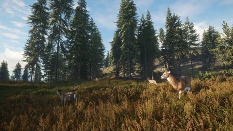 theHunter: Call of the Wild™ のスクリーンショット 4