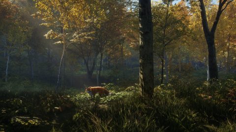 theHunter: Call of the Wild™ のスクリーンショット 2