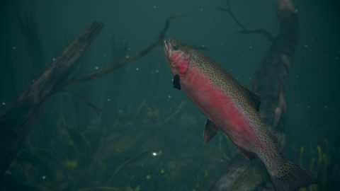 Ultimate Fishing® Simulator 2 screenshot 1