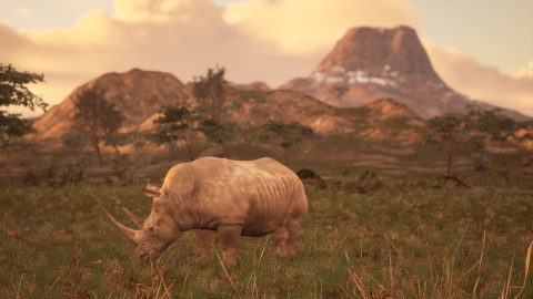 Animalia Survival, captura de tela 1
