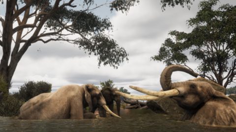 Animalia Survival, captura de tela 4