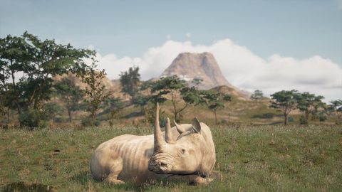 Animalia Survival, captura de tela 2