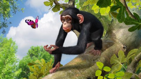 Zoo Tycoon: Ultimate Animal Collection, capture d’écran 3