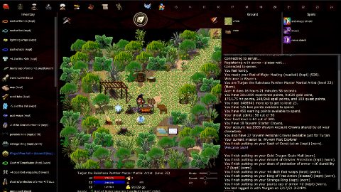 Wyvern screenshot 1