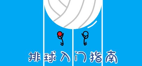 排球入门指南