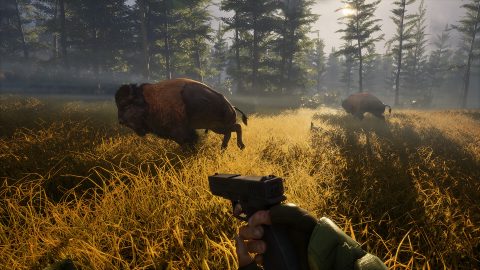 BIGFOOT, capture d’écran 2