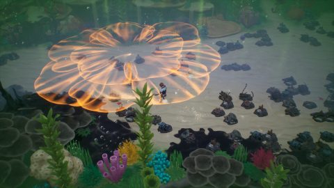 Coral Island 스크린샷 2