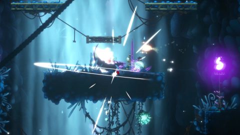 Aeterna Noctis, capture d’écran 3