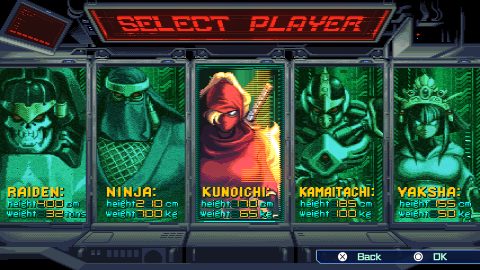 The Ninja Saviors: Return of the Warriors 截图 1